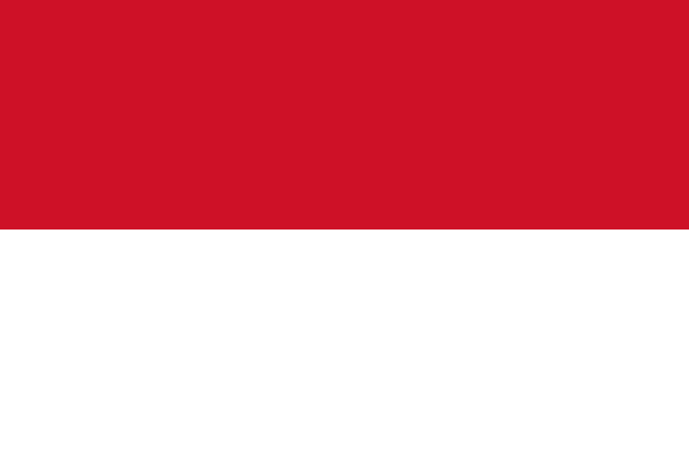 a red and white flag
